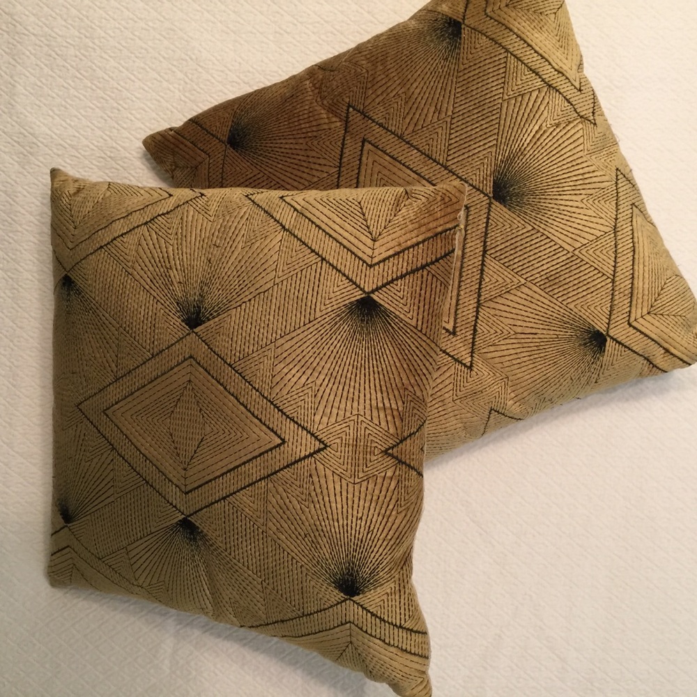 Two 16” Square Sofa Pillows